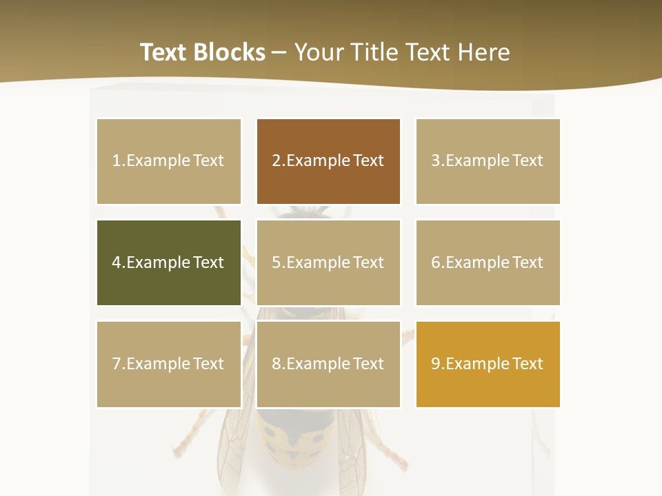 A Yellow And Black Insect On A White Background PowerPoint Template