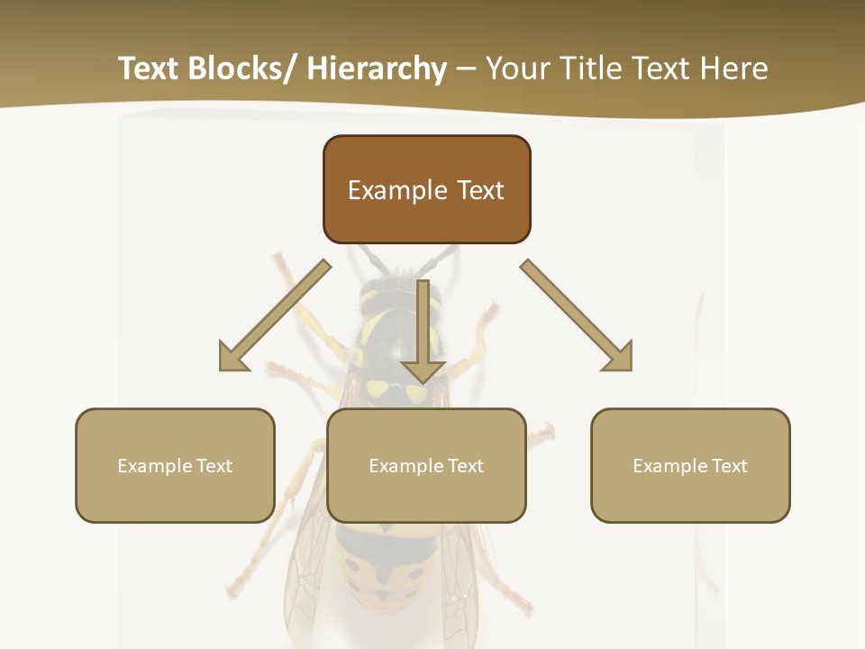 A Yellow And Black Insect On A White Background PowerPoint Template