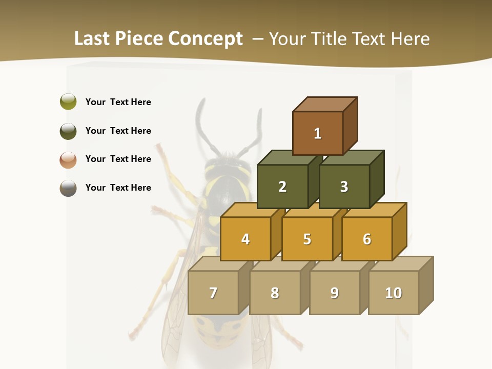 A Yellow And Black Insect On A White Background PowerPoint Template