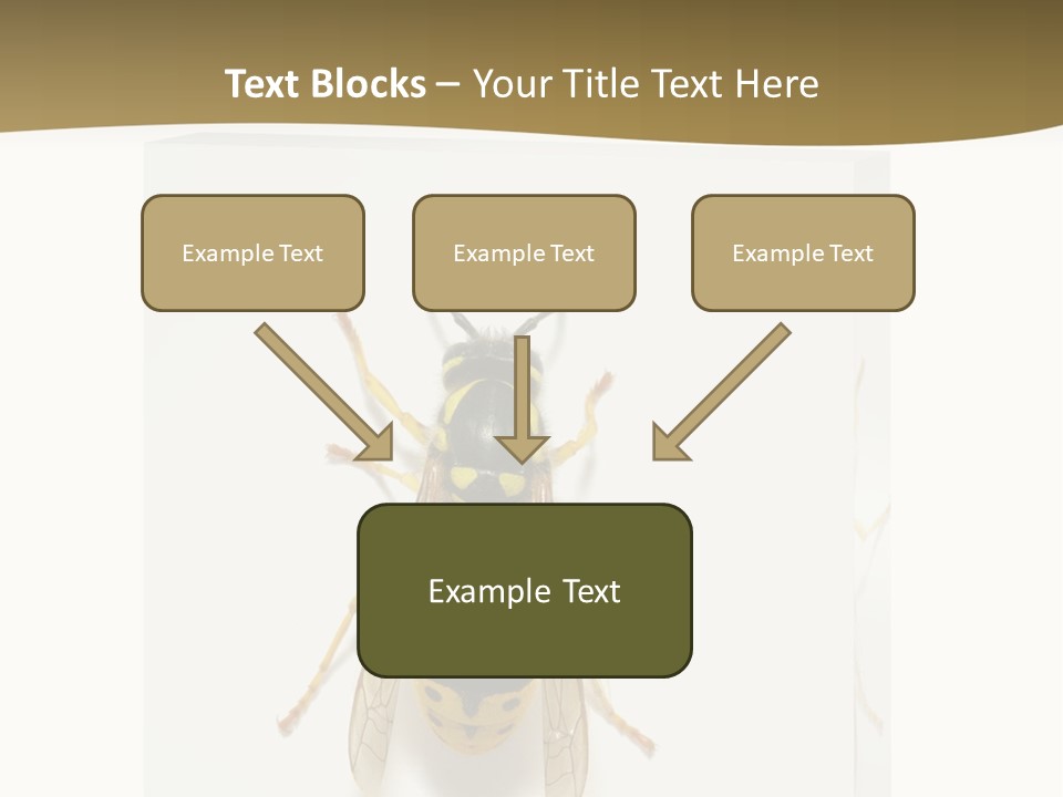 A Yellow And Black Insect On A White Background PowerPoint Template