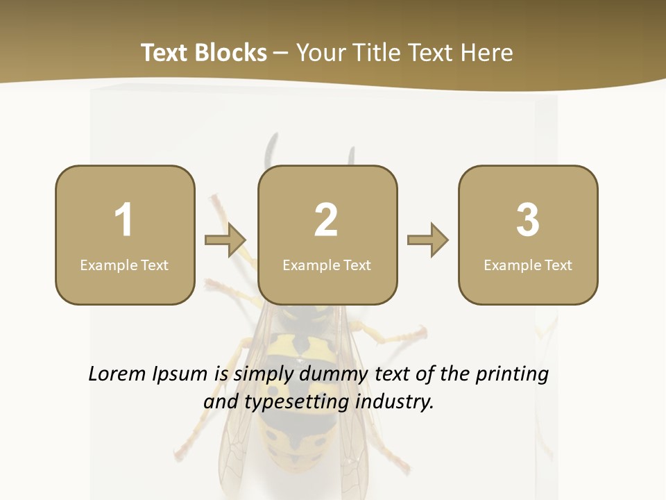 A Yellow And Black Insect On A White Background PowerPoint Template