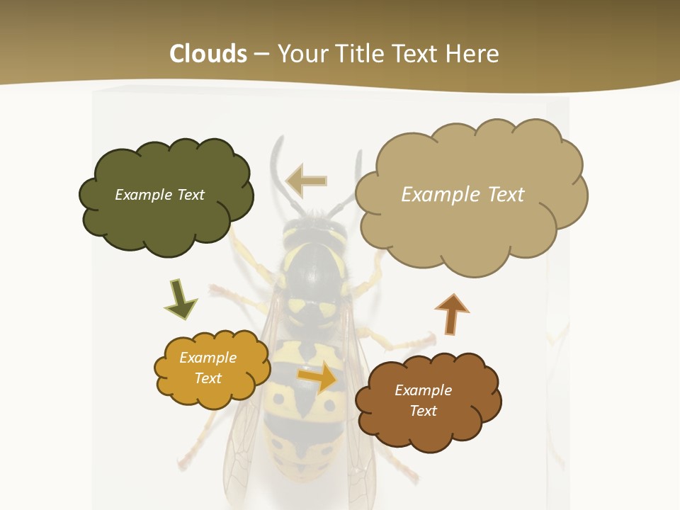 A Yellow And Black Insect On A White Background PowerPoint Template