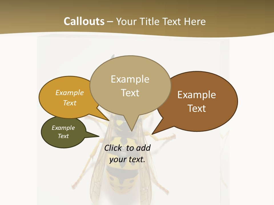 A Yellow And Black Insect On A White Background PowerPoint Template