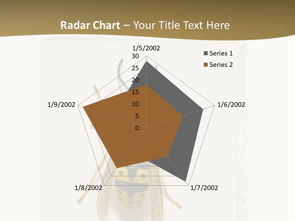 A Yellow And Black Insect On A White Background PowerPoint Template