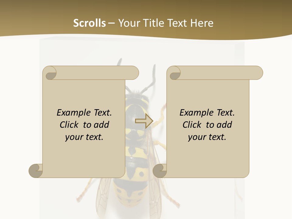 A Yellow And Black Insect On A White Background PowerPoint Template