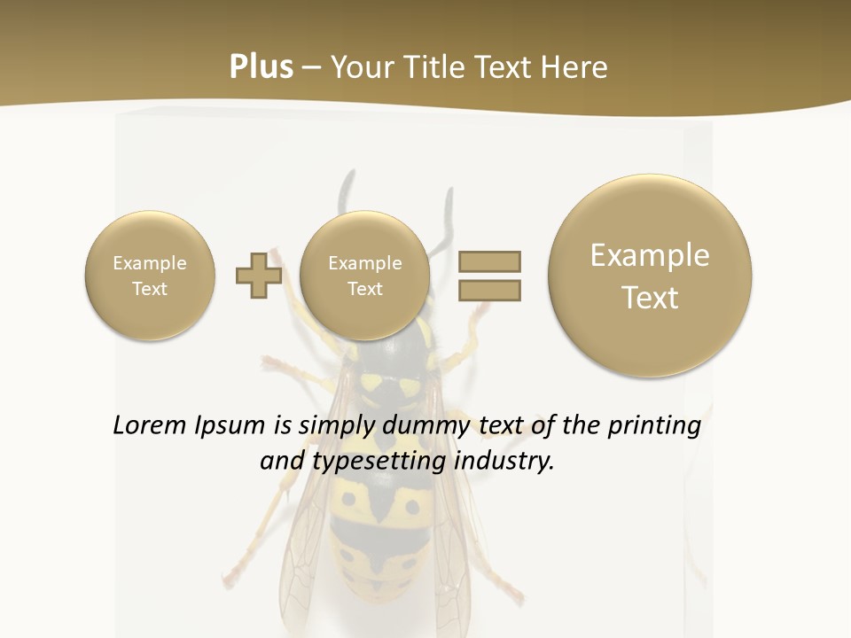 A Yellow And Black Insect On A White Background PowerPoint Template