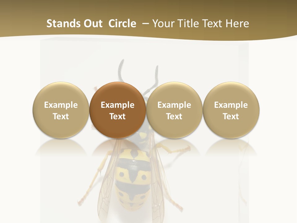 A Yellow And Black Insect On A White Background PowerPoint Template