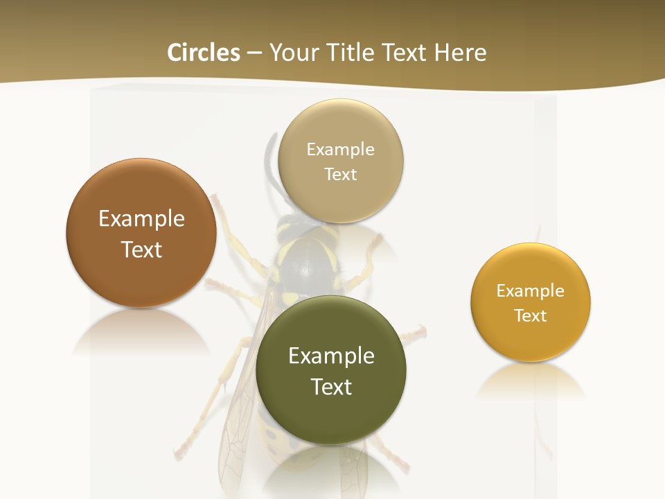 A Yellow And Black Insect On A White Background PowerPoint Template