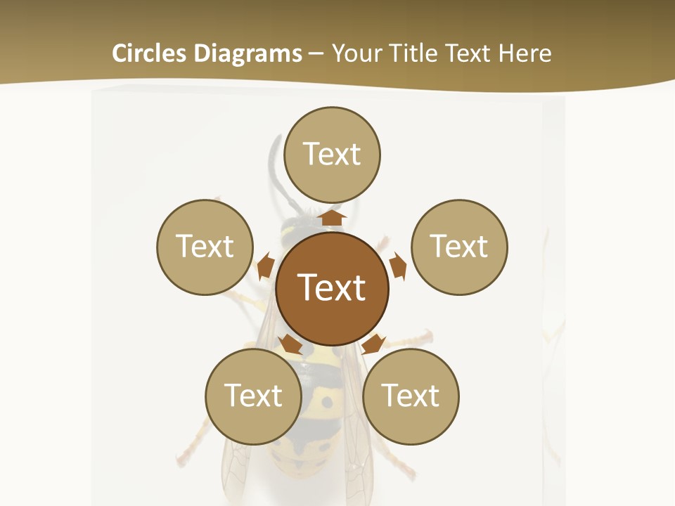 A Yellow And Black Insect On A White Background PowerPoint Template