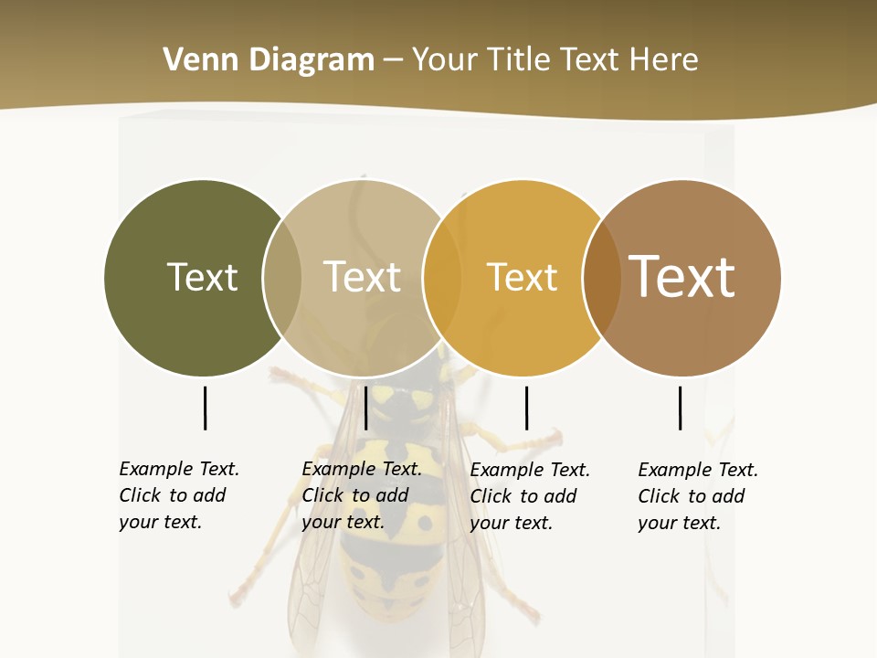 A Yellow And Black Insect On A White Background PowerPoint Template