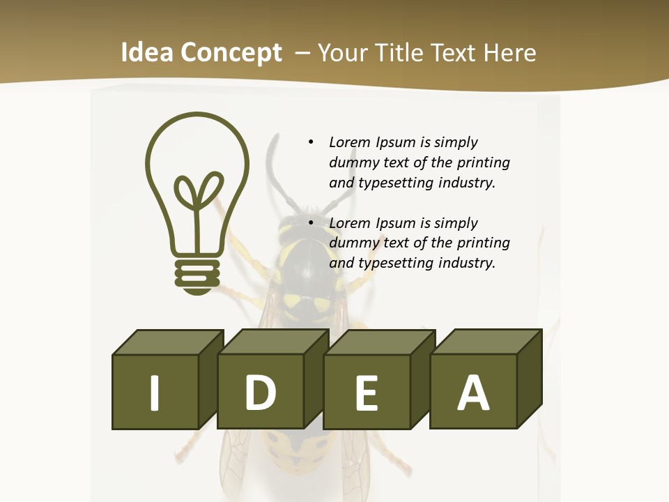 A Yellow And Black Insect On A White Background PowerPoint Template