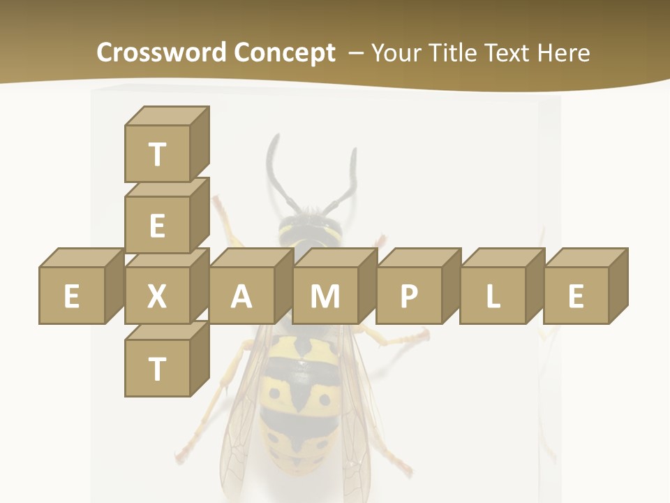 A Yellow And Black Insect On A White Background PowerPoint Template