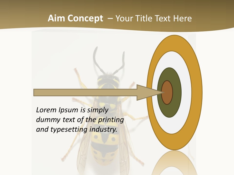 A Yellow And Black Insect On A White Background PowerPoint Template