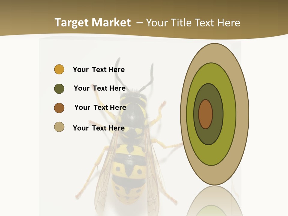 A Yellow And Black Insect On A White Background PowerPoint Template