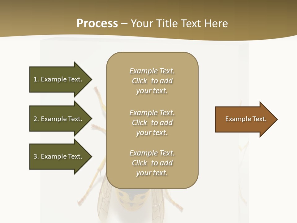 A Yellow And Black Insect On A White Background PowerPoint Template