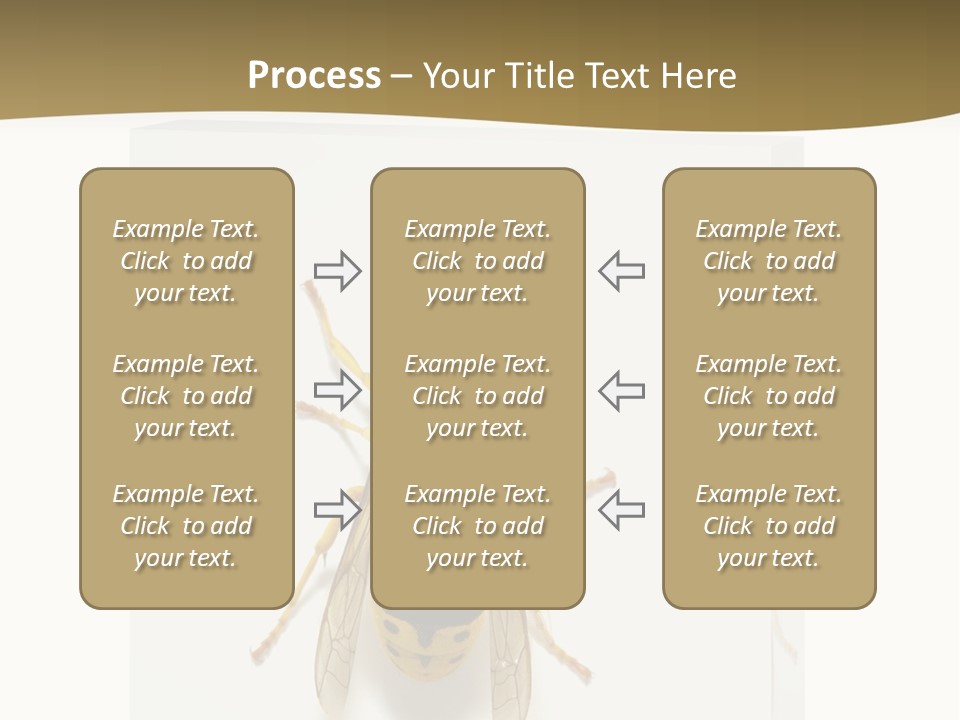 A Yellow And Black Insect On A White Background PowerPoint Template