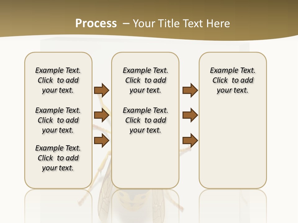 A Yellow And Black Insect On A White Background PowerPoint Template