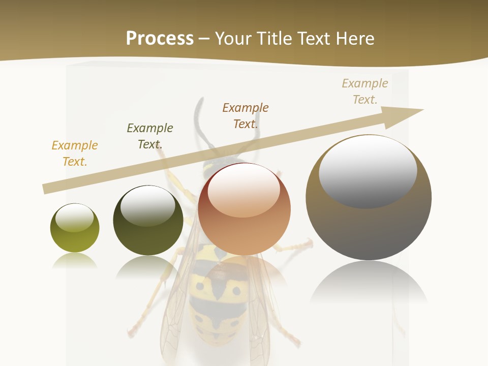 A Yellow And Black Insect On A White Background PowerPoint Template