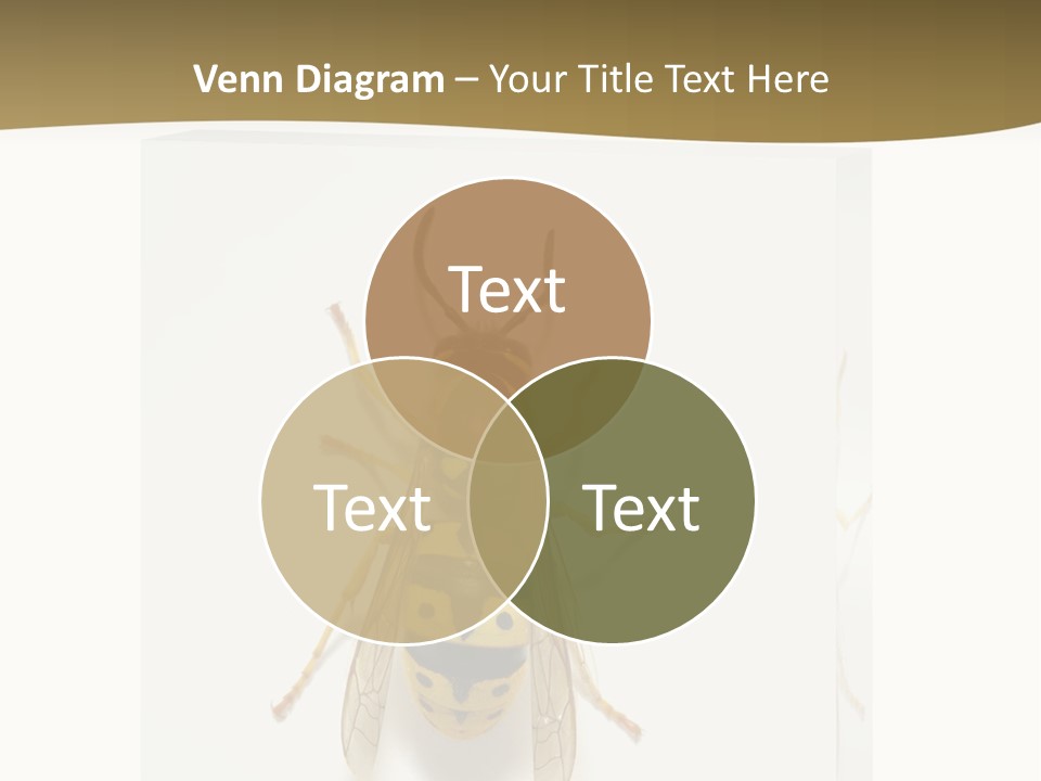 A Yellow And Black Insect On A White Background PowerPoint Template