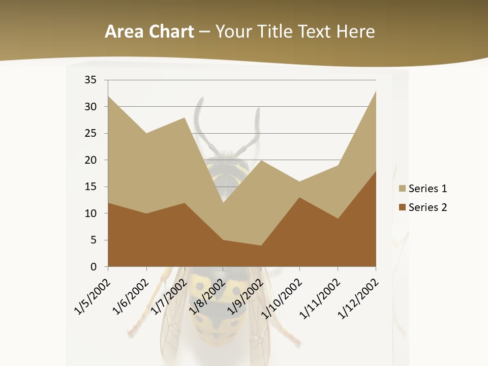 A Yellow And Black Insect On A White Background PowerPoint Template