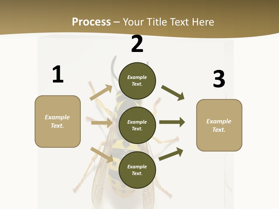 A Yellow And Black Insect On A White Background PowerPoint Template
