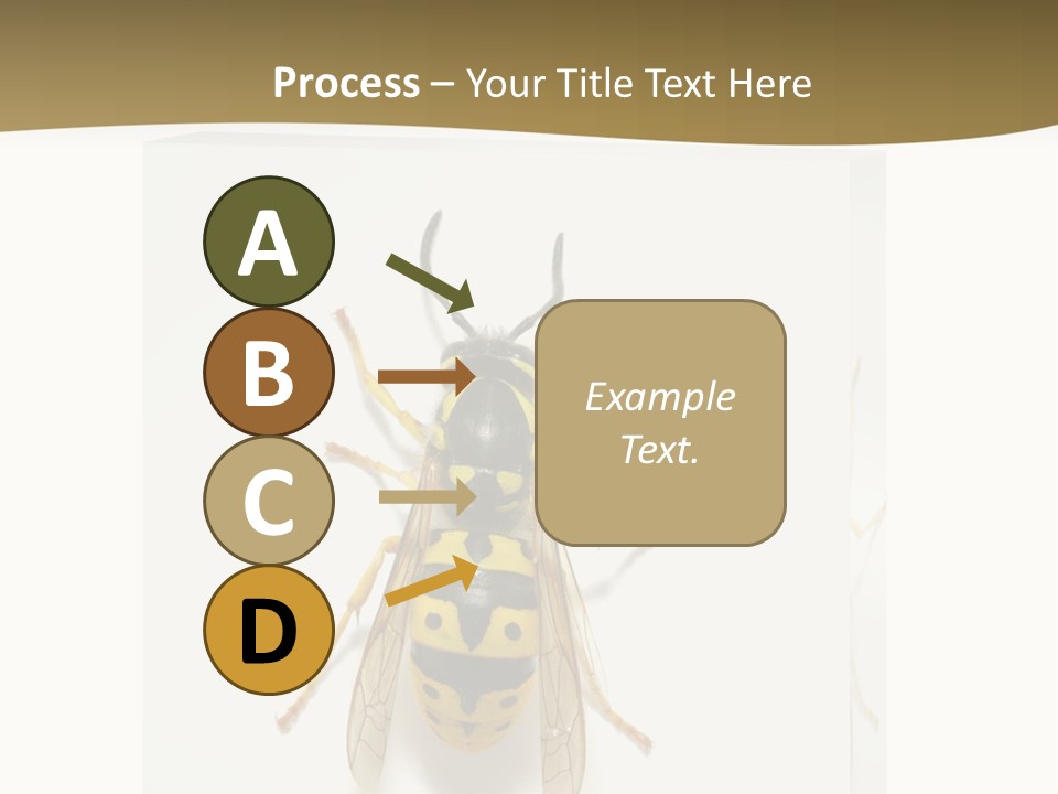 A Yellow And Black Insect On A White Background PowerPoint Template