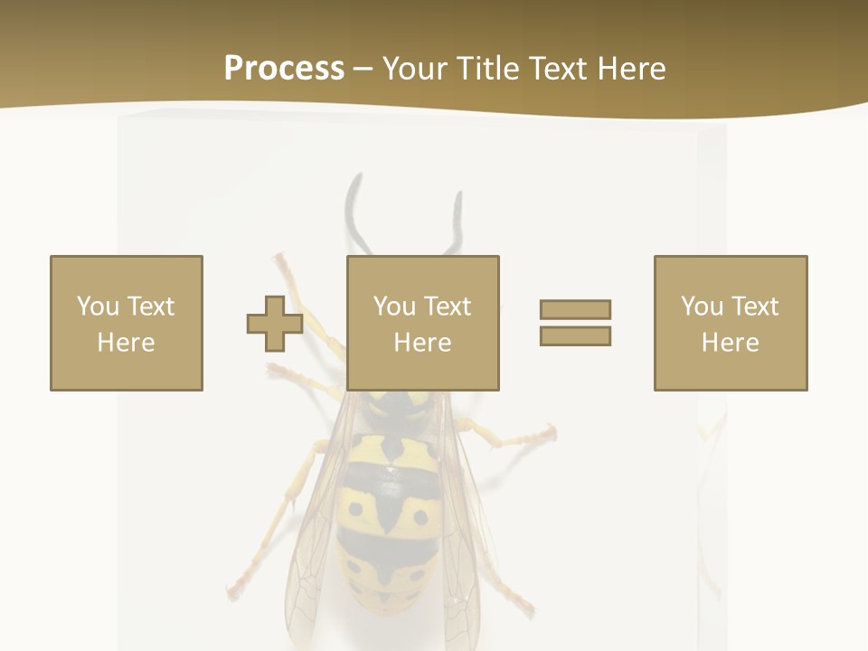 A Yellow And Black Insect On A White Background PowerPoint Template
