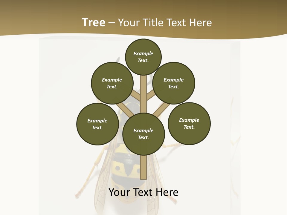 A Yellow And Black Insect On A White Background PowerPoint Template