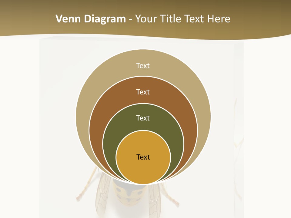 A Yellow And Black Insect On A White Background PowerPoint Template