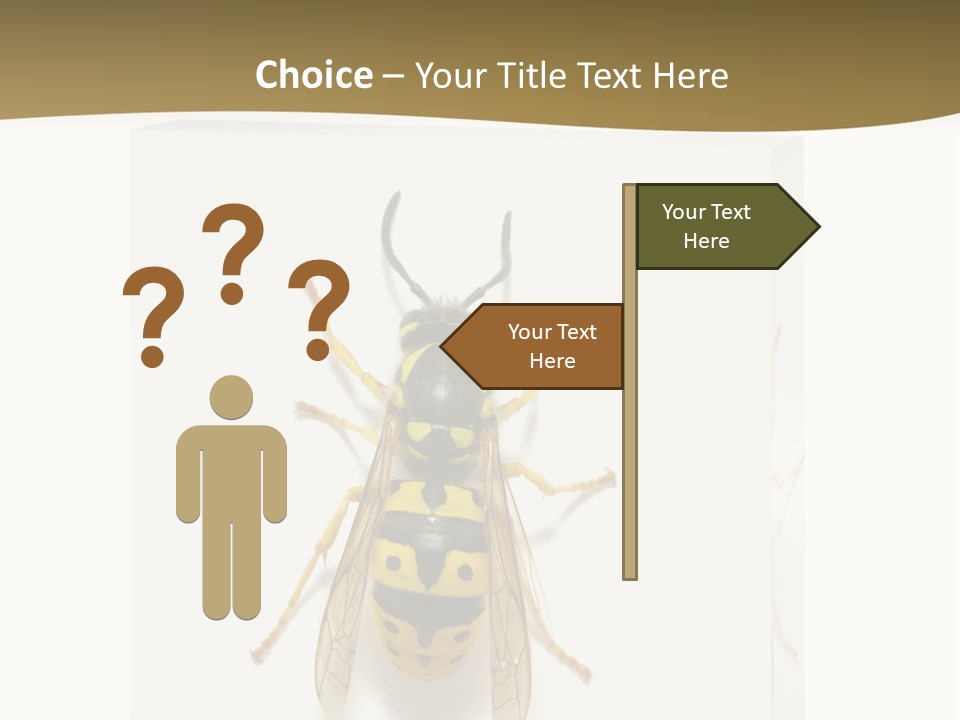 A Yellow And Black Insect On A White Background PowerPoint Template