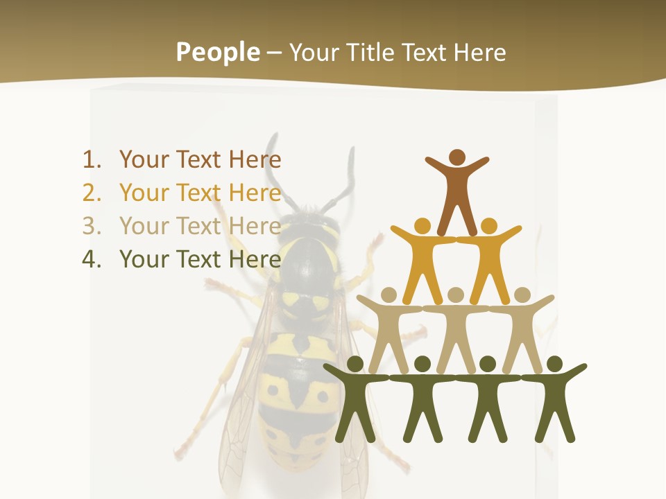 A Yellow And Black Insect On A White Background PowerPoint Template