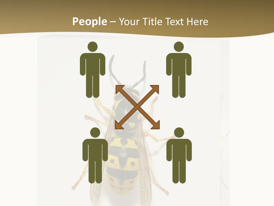 A Yellow And Black Insect On A White Background PowerPoint Template