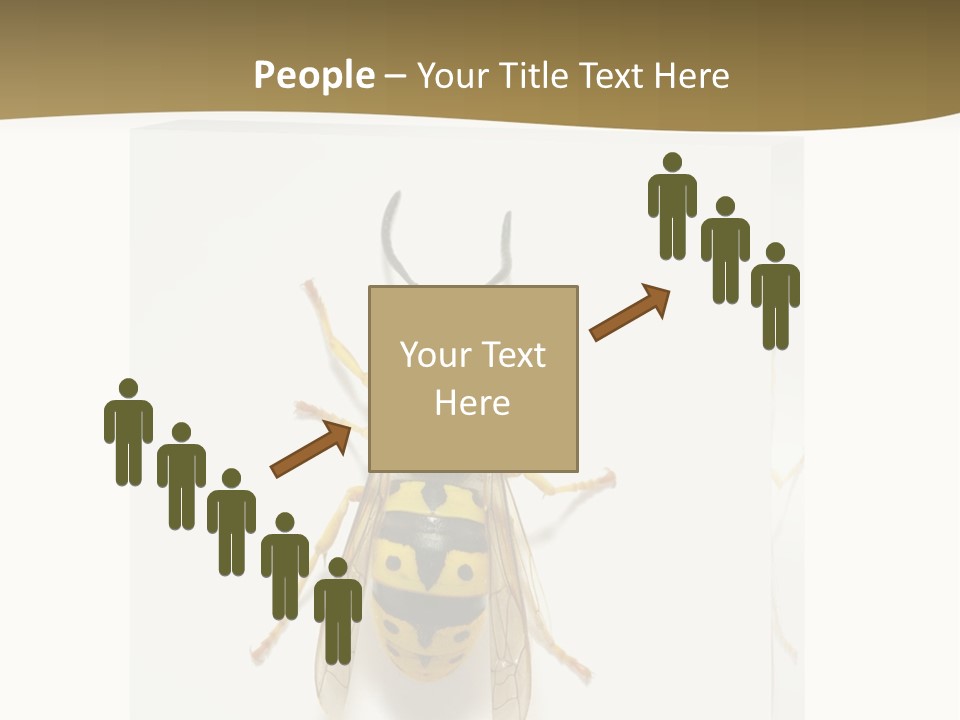 A Yellow And Black Insect On A White Background PowerPoint Template