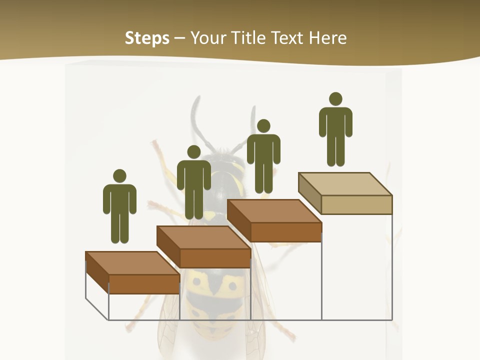 A Yellow And Black Insect On A White Background PowerPoint Template