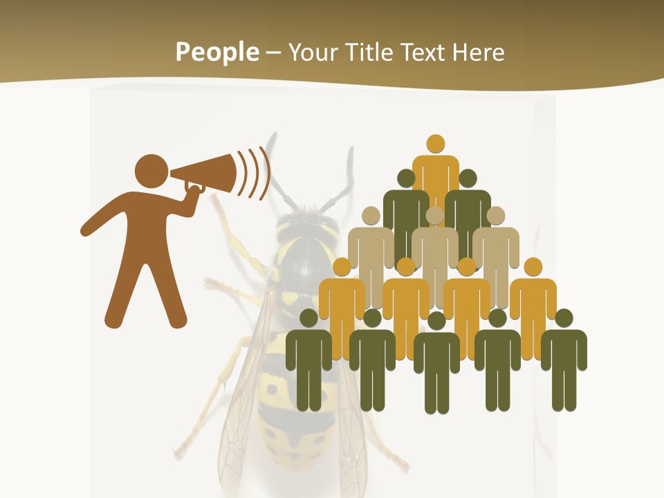 A Yellow And Black Insect On A White Background PowerPoint Template