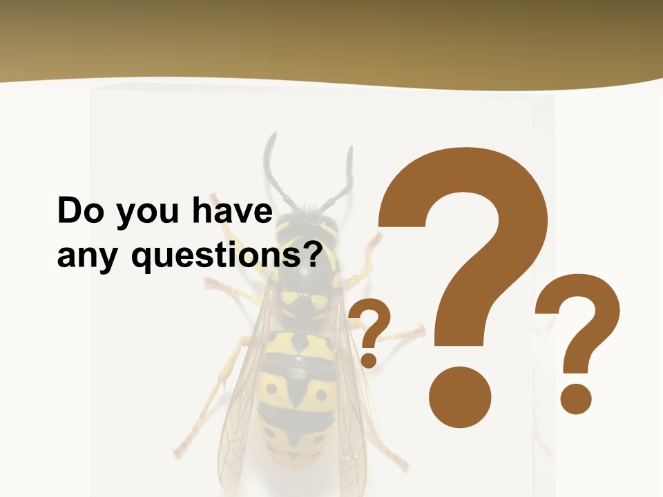 A Yellow And Black Insect On A White Background PowerPoint Template
