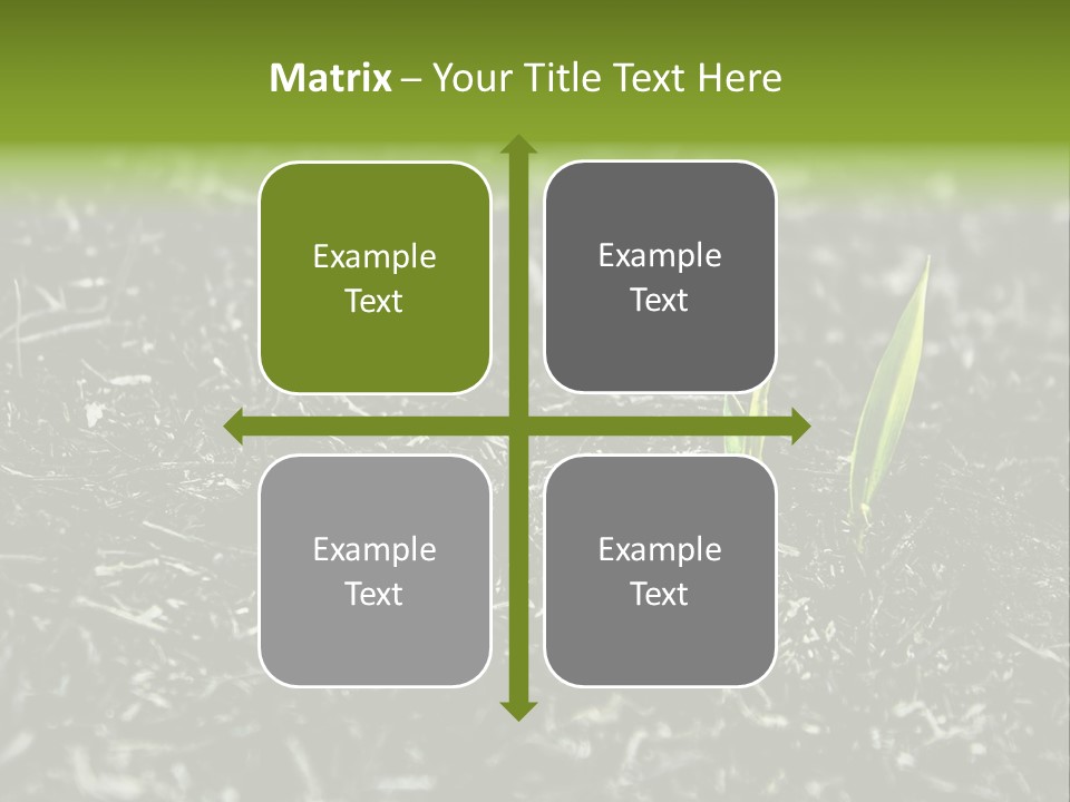 A Green Plant Is Growing Out Of The Ground PowerPoint Template