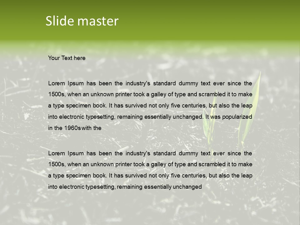 A Green Plant Is Growing Out Of The Ground PowerPoint Template