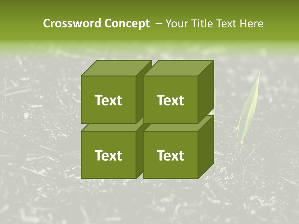 A Green Plant Is Growing Out Of The Ground PowerPoint Template