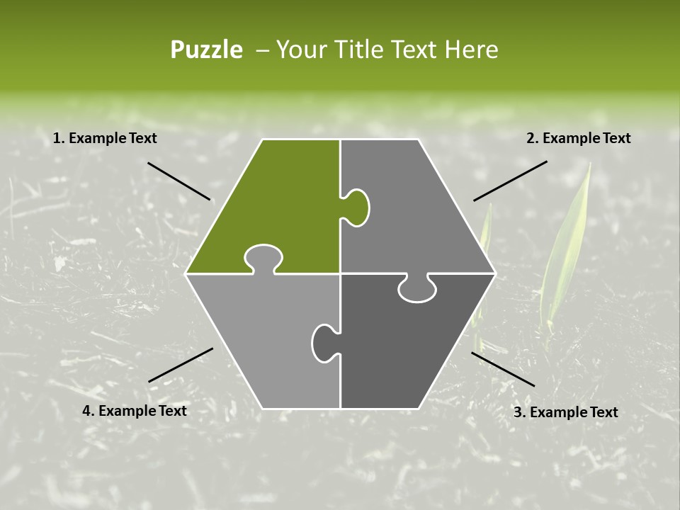 A Green Plant Is Growing Out Of The Ground PowerPoint Template