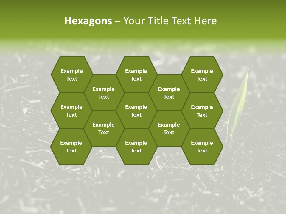 A Green Plant Is Growing Out Of The Ground PowerPoint Template