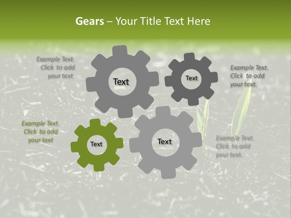 A Green Plant Is Growing Out Of The Ground PowerPoint Template