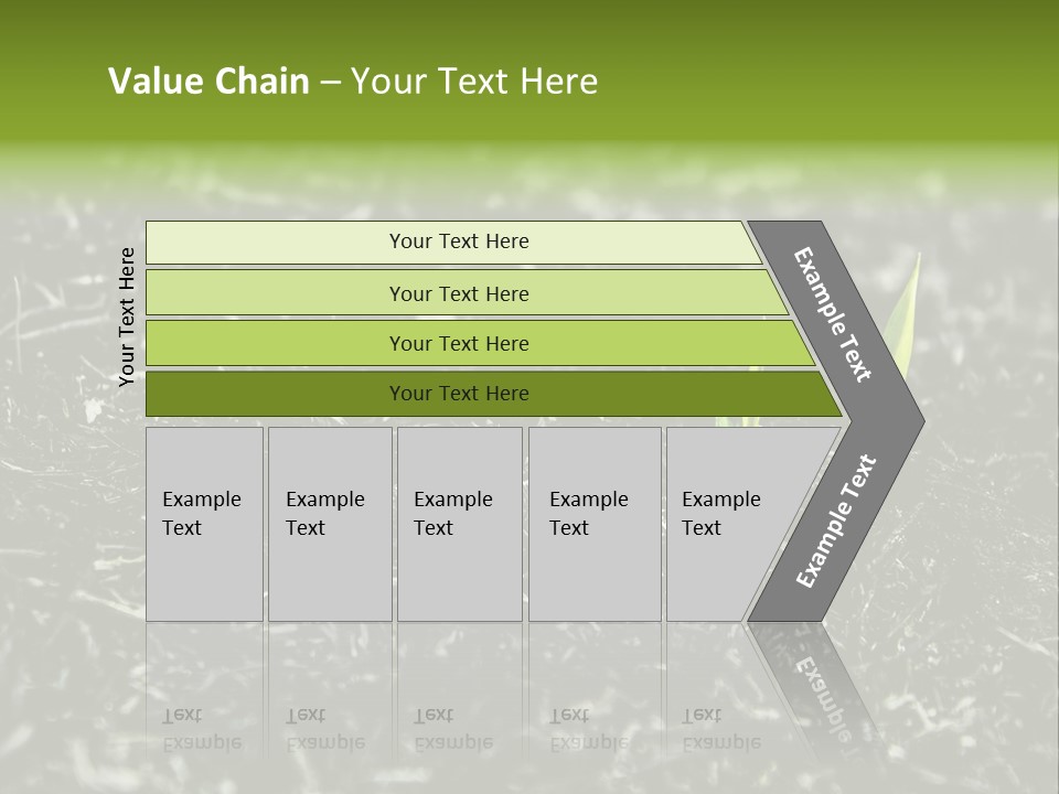 A Green Plant Is Growing Out Of The Ground PowerPoint Template