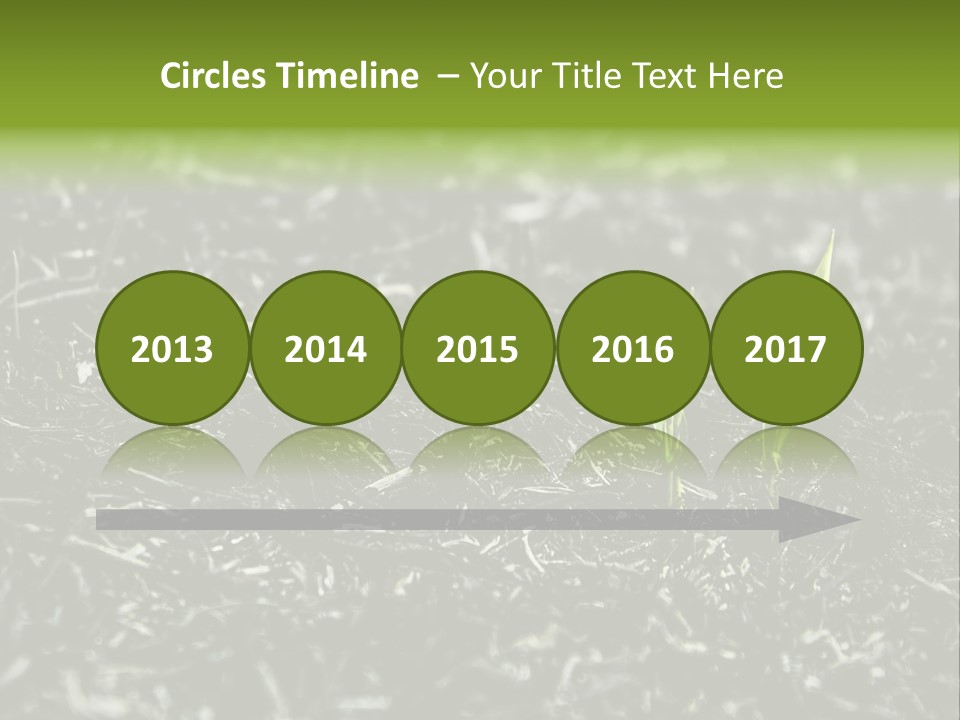 A Green Plant Is Growing Out Of The Ground PowerPoint Template