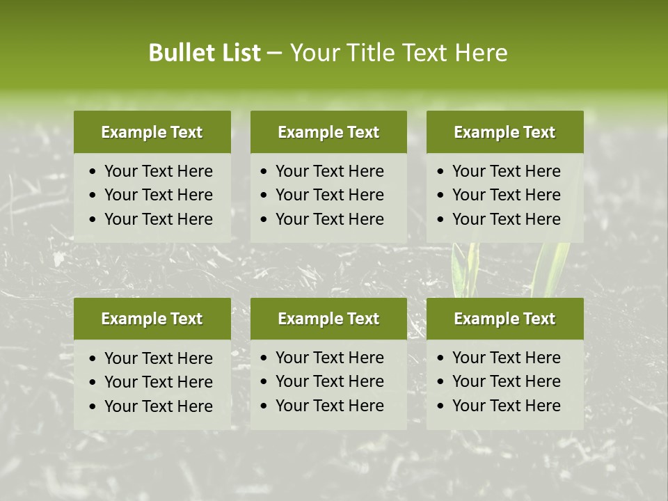 A Green Plant Is Growing Out Of The Ground PowerPoint Template