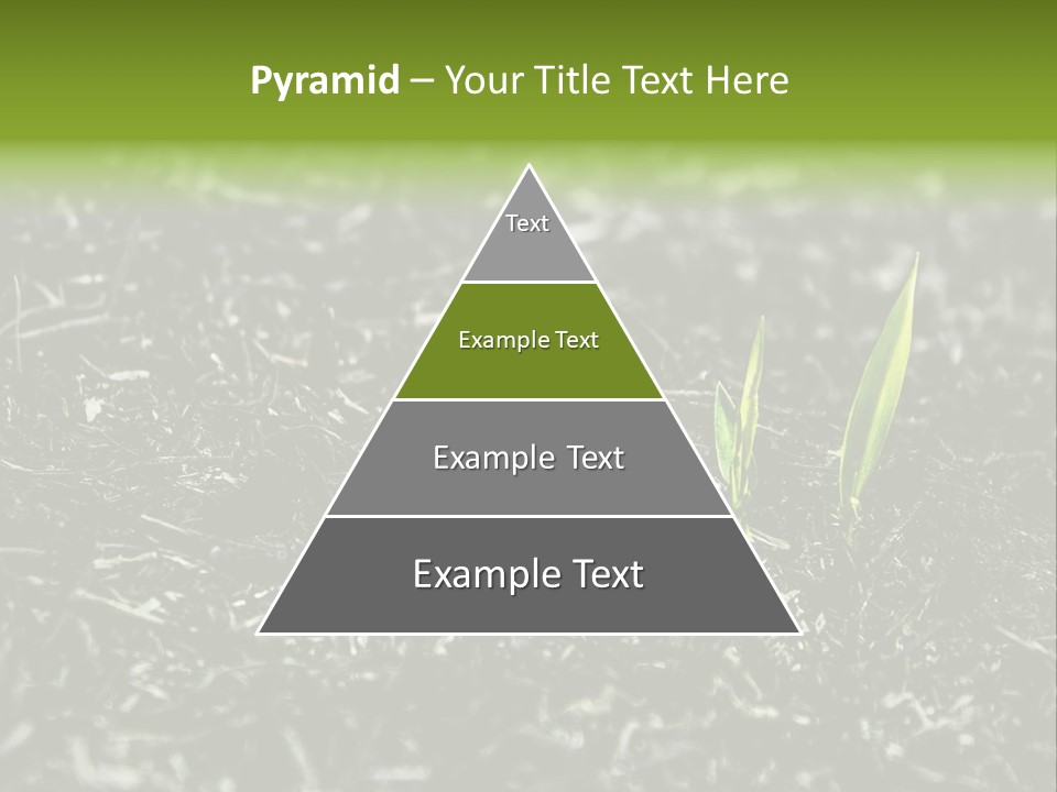 A Green Plant Is Growing Out Of The Ground PowerPoint Template