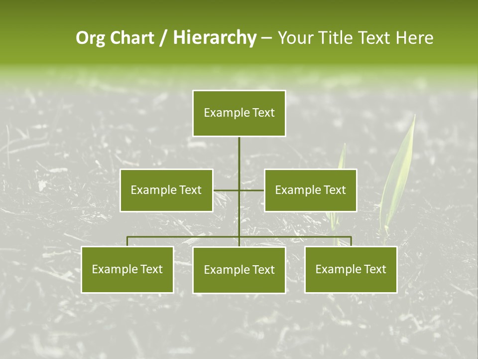 A Green Plant Is Growing Out Of The Ground PowerPoint Template