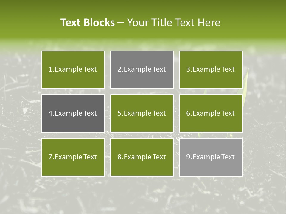 A Green Plant Is Growing Out Of The Ground PowerPoint Template