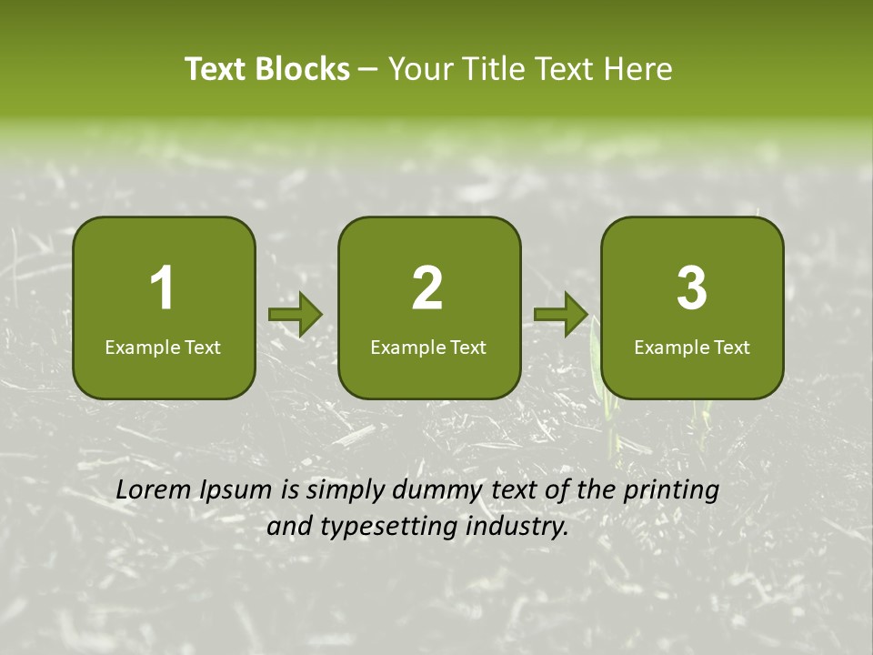 A Green Plant Is Growing Out Of The Ground PowerPoint Template