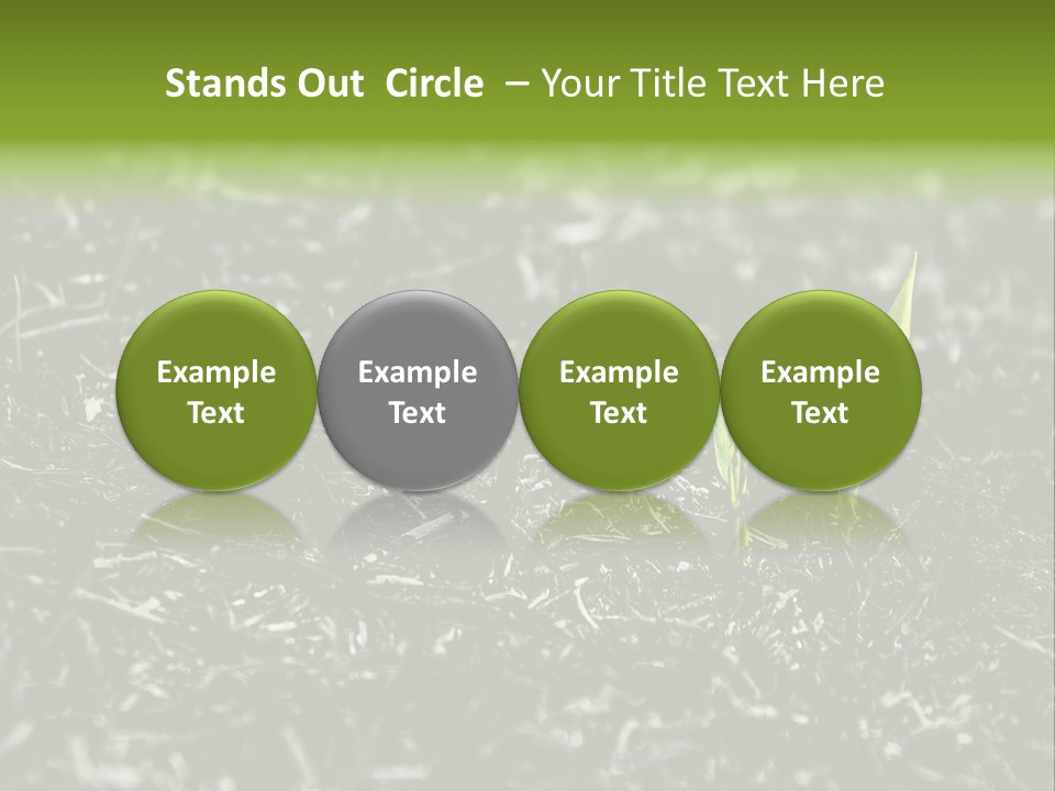 A Green Plant Is Growing Out Of The Ground PowerPoint Template
